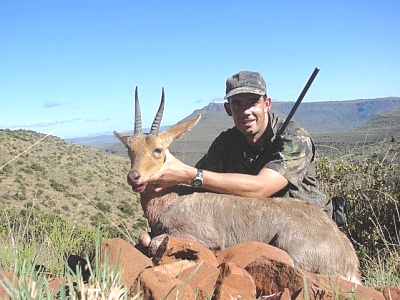 Mountain Reedbuck 7"